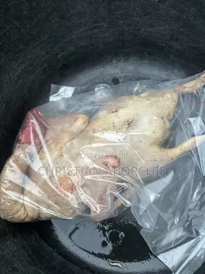 Dressed Duck for Sale