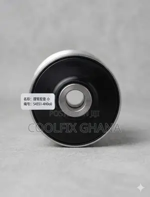 Front Lower Control Arm Bushing (Rear Position