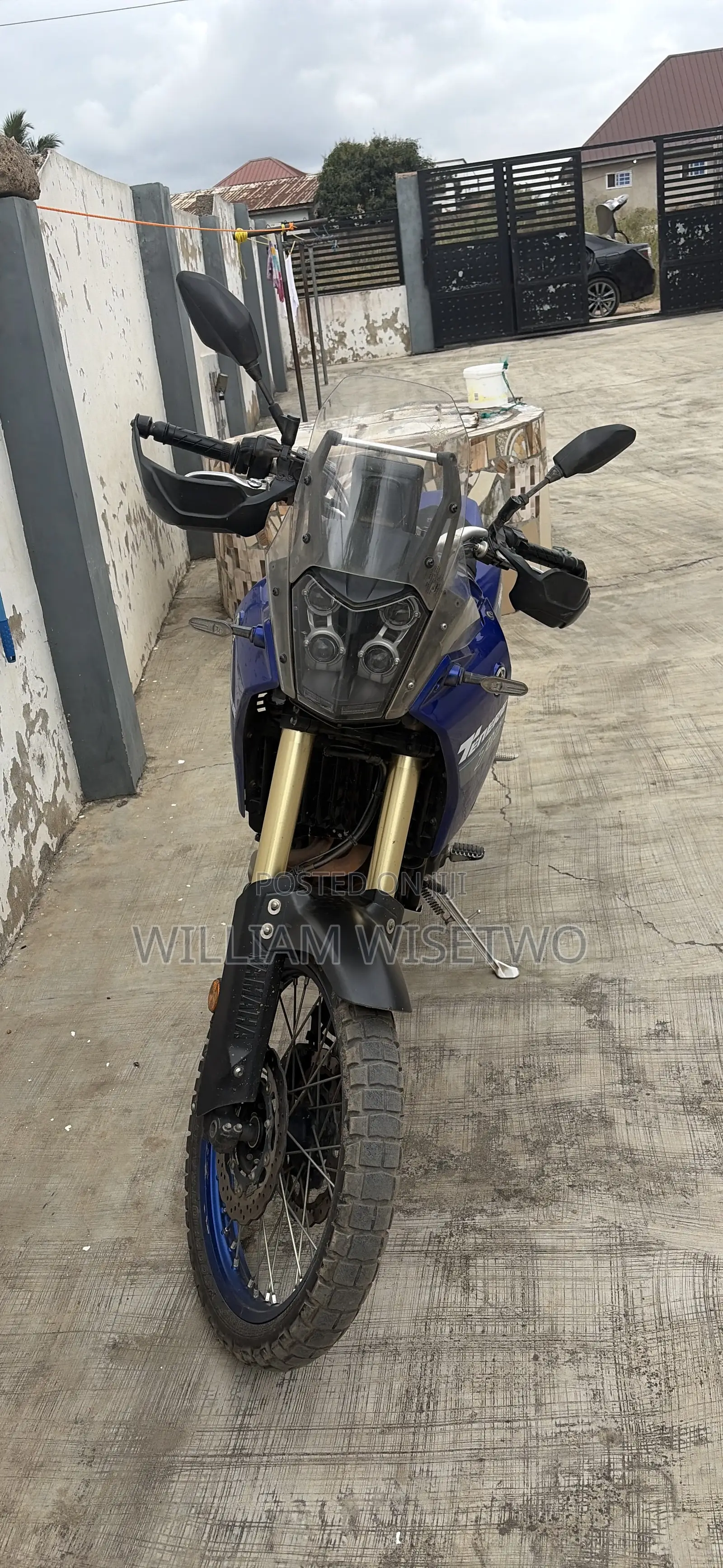 Honda 2024 Blue