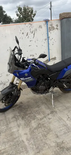 Honda 2024 Blue