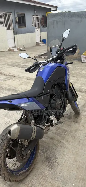 Honda 2024 Blue