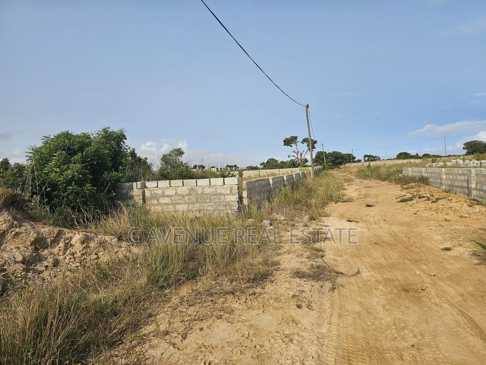 Own Land Today for a Brighter Tomorrow