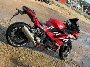 Kawasaki Ninja 400 2024 Red