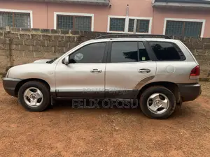 Hyundai Santa Fe Base FWD 2002 Gray