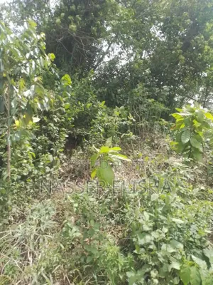 18,000 Acres Farm Lands for Sale