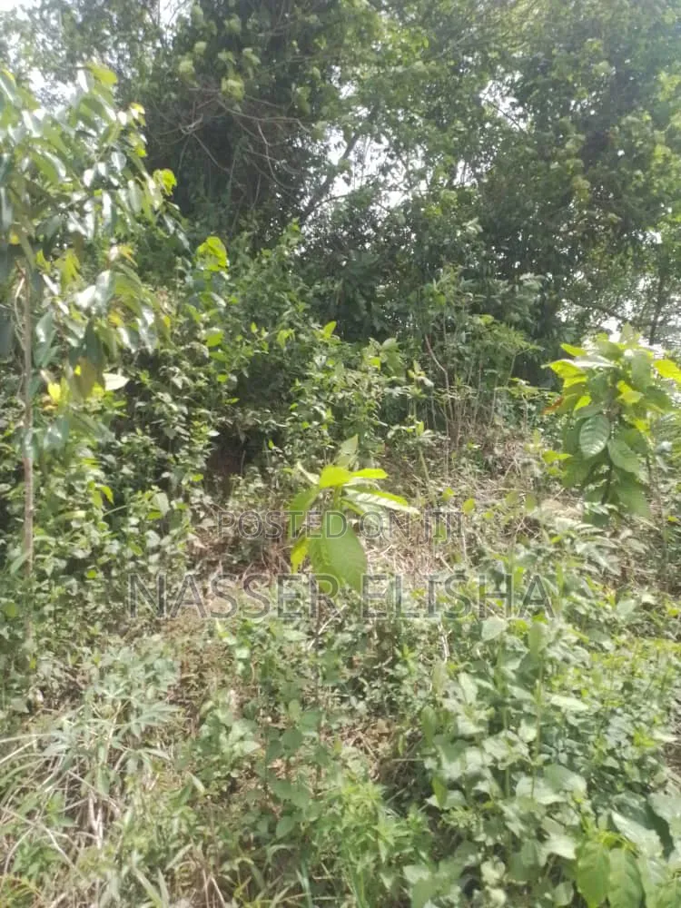 18,000 Acres Farm Lands for Sale