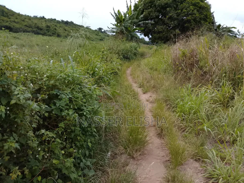 18,000 Acres Farm Lands for Sale