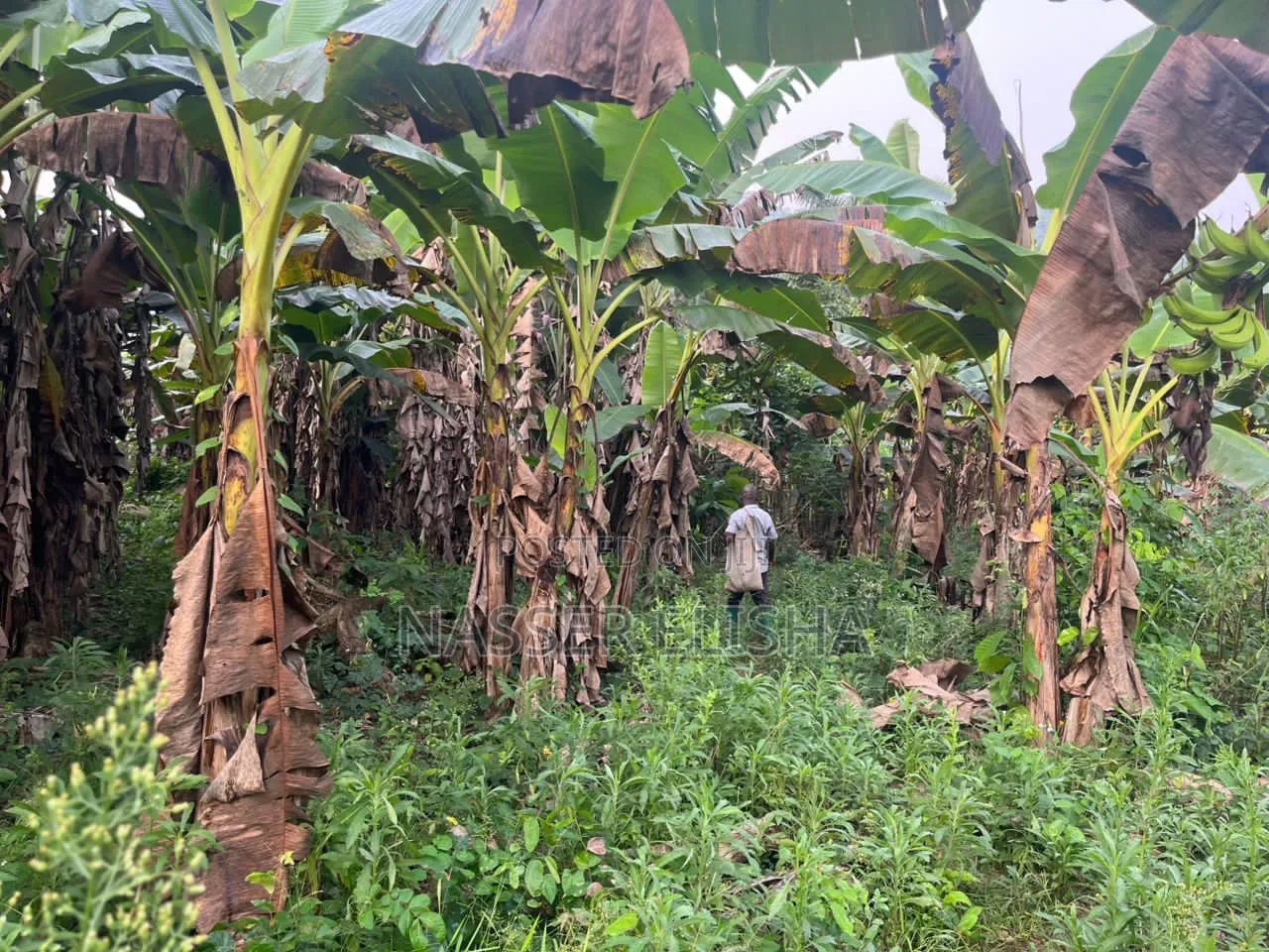 18,000 Acres Farm Lands for Sale