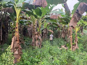 18,000 Acres Farm Lands for Sale