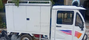 New Tricycle 2026 White