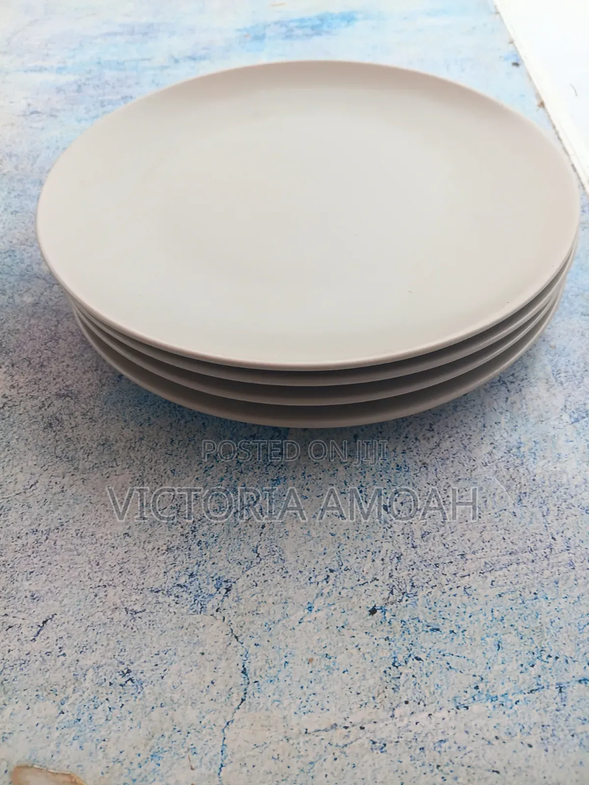 Ikea Ceramic Dinner Plate.