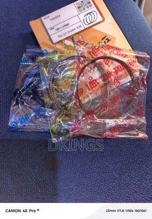 Piston Ring
