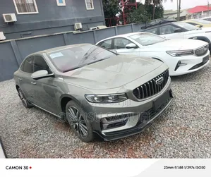 Geely Emgrand Luxury 2024 Gray