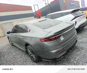 Geely Emgrand Luxury 2024 Gray