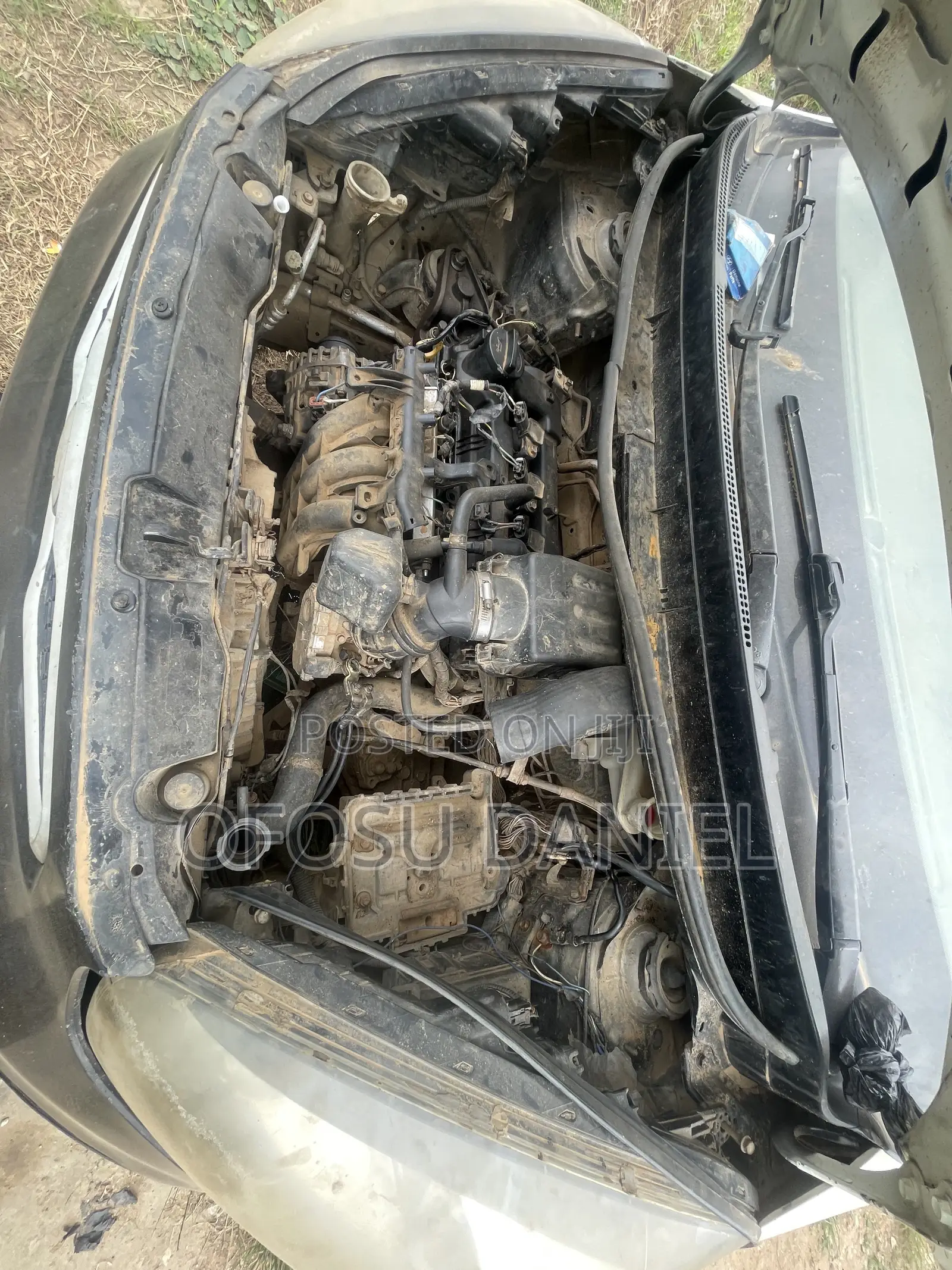 Kia Picanto 2013 White