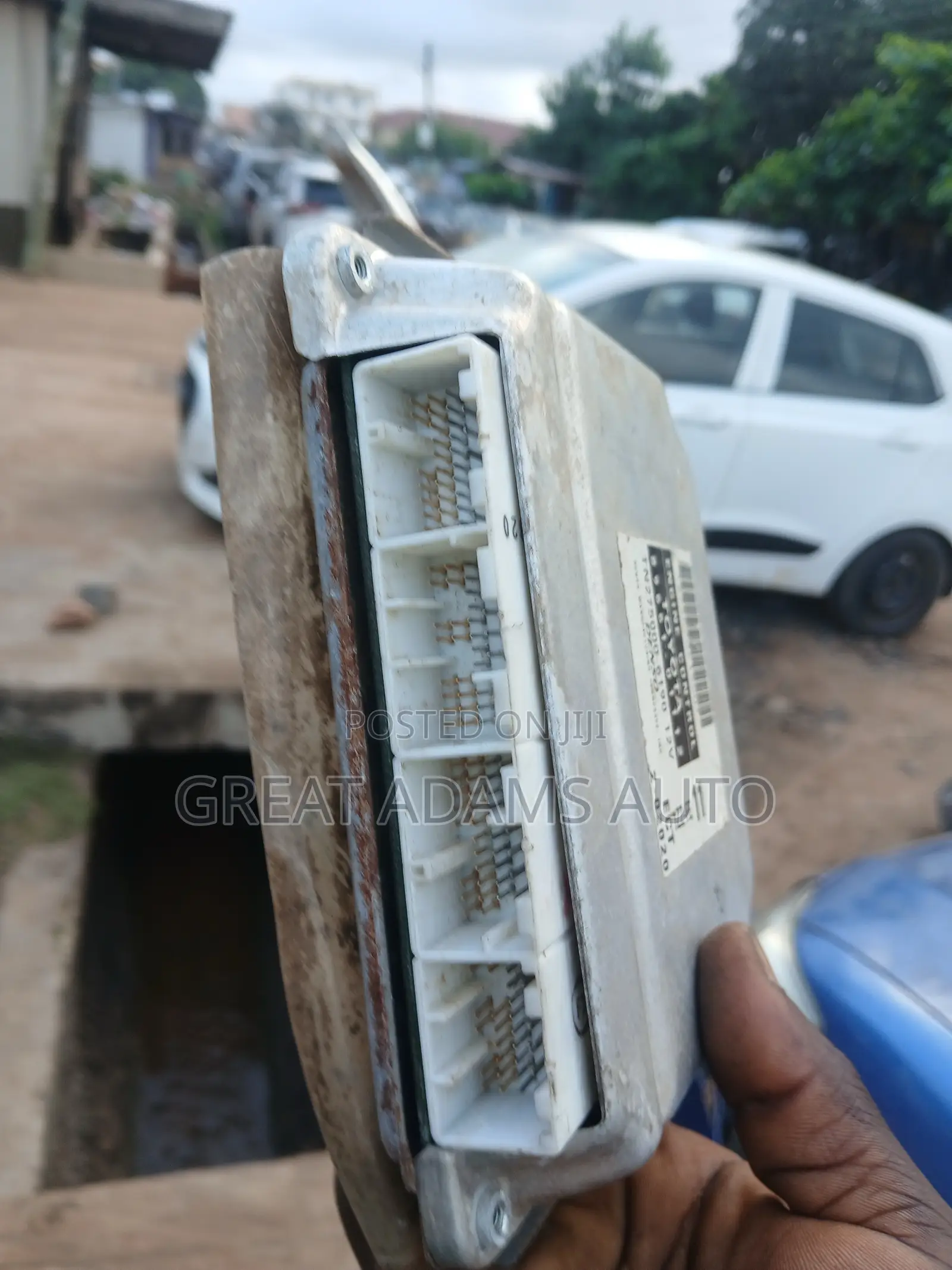 Auto Electrician