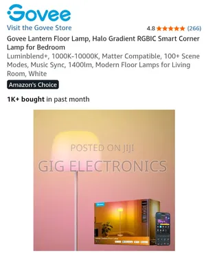 Govee Lantern Floor Lamp S