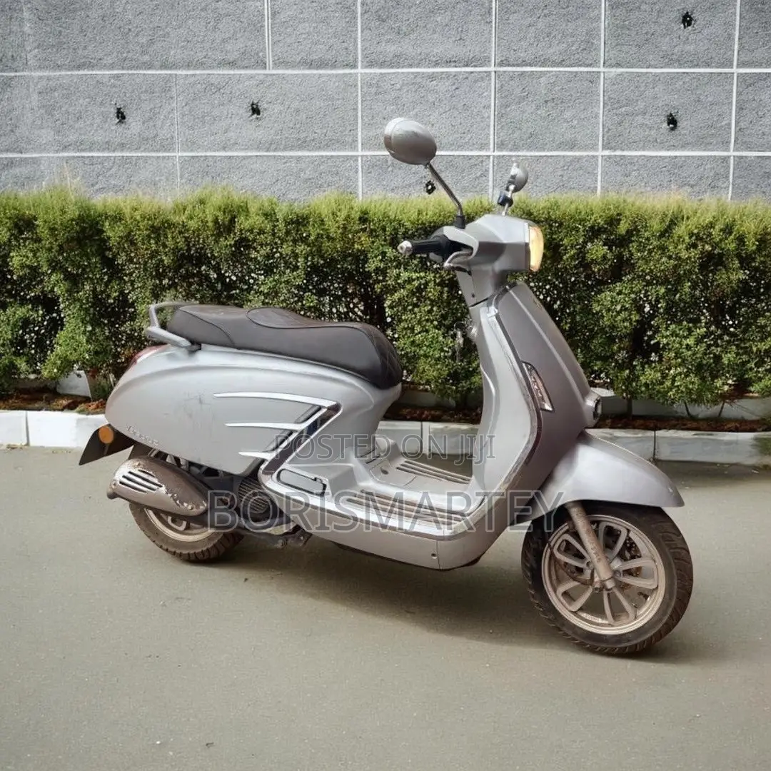 Znen Vento 2022 Gray