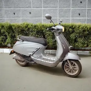Znen Vento 2022 Gray