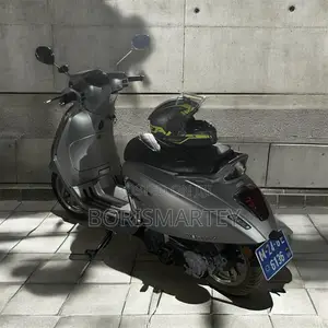 Znen Vento 2022 Gray