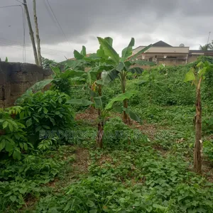 Plot of Land for Sale at Ipt Nyankyereniase