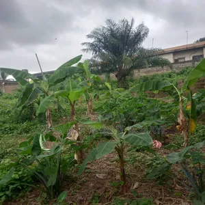 Plot of Land for Sale at Ipt Nyankyereniase