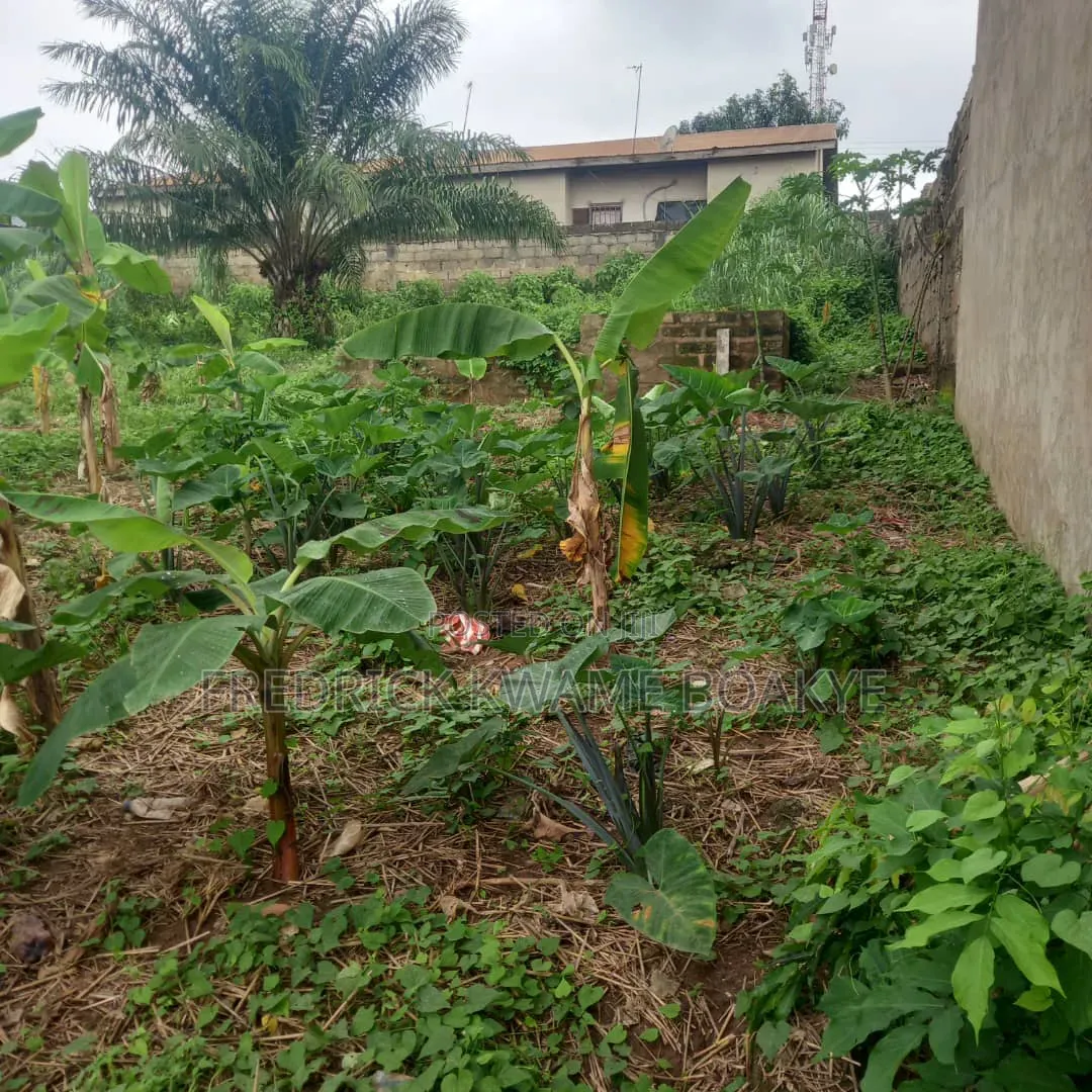Plot of Land for Sale at Ipt Nyankyereniase