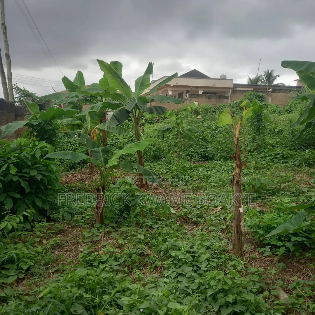 Plot of Land for Sale at Ipt Nyankyereniase