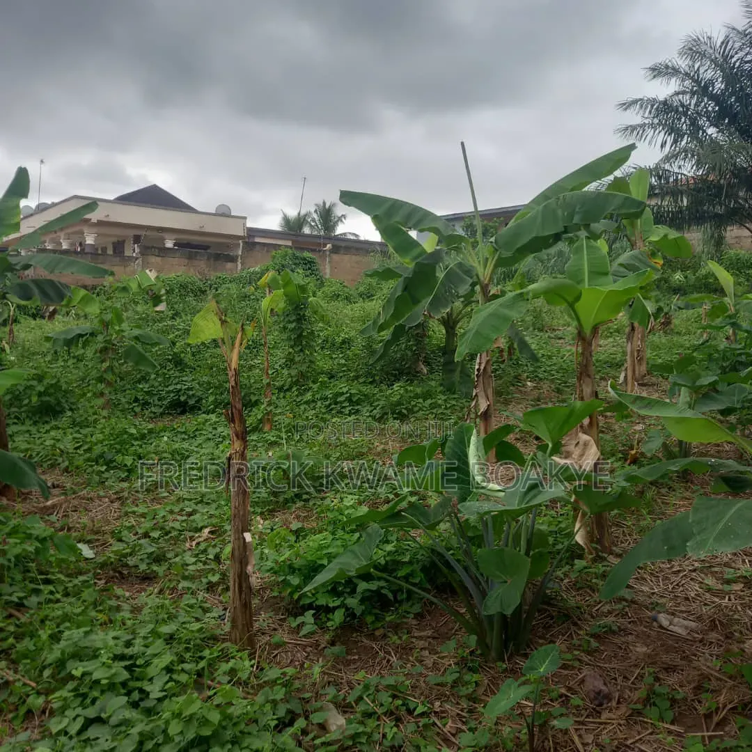 Plot of Land for Sale at Ipt Nyankyereniase
