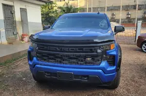 Chevrolet Silverado 2500 2023 Blue