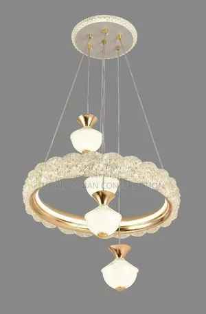 Contemporary Elegance Ceiling Light