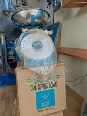 Camry Dail Spring Scale With Stainless Bowl