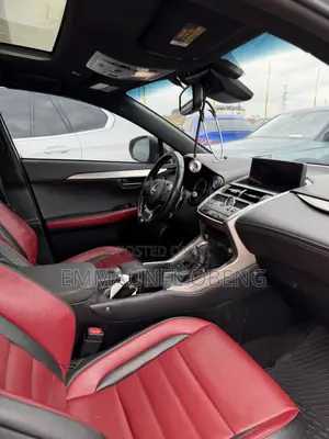 Lexus NX 300 AWD 2019 Black