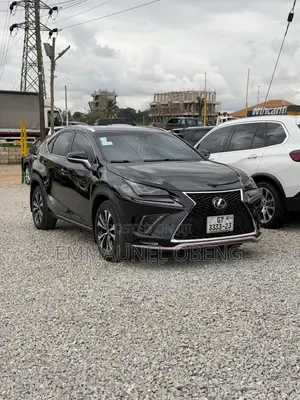 Lexus NX 300 AWD 2019 Black