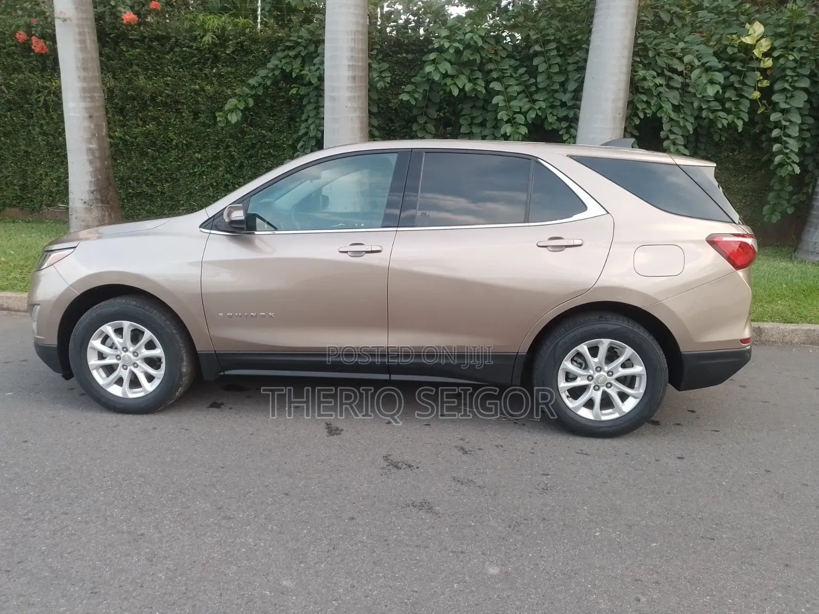 Chevrolet Equinox LT w/1LT AWD 2019 Gold