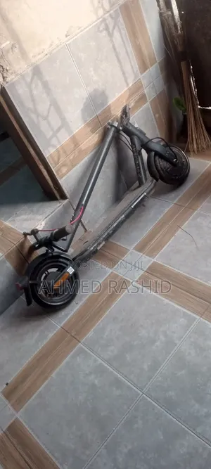 Max-S Max-S 200 2026 Gray