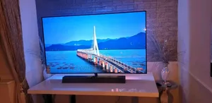 65inches Oled TV