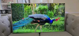 Sony Smart TV 55inches