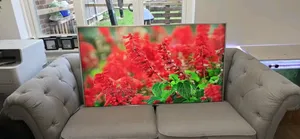 Sony Smart TV 55inches