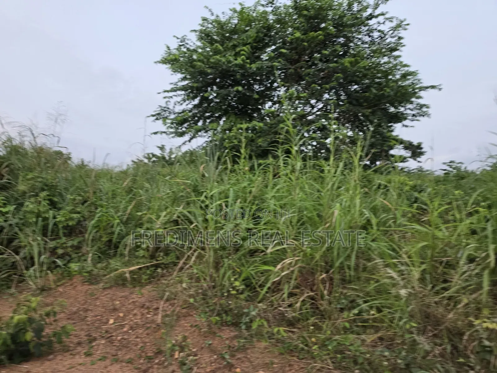 Land at Aboabugya for Sale