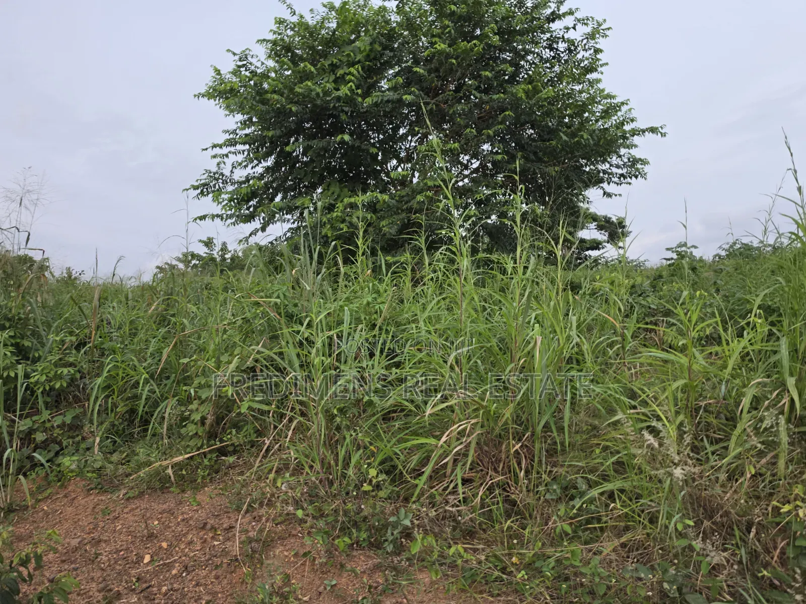 Land at Aboabugya for Sale