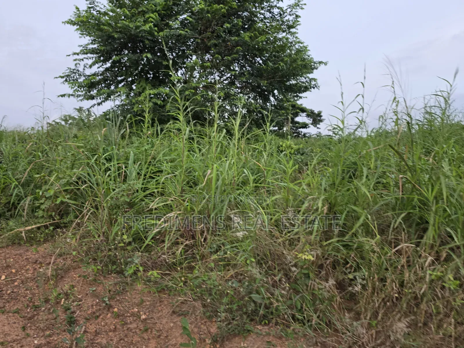 Land at Aboabugya for Sale