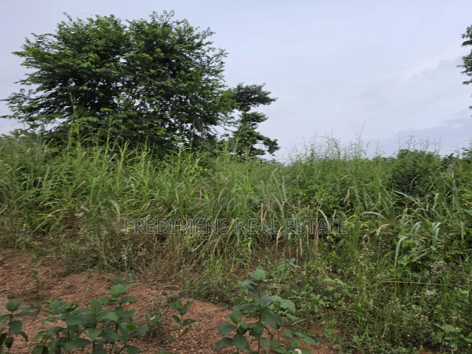 Land at Aboabugya for Sale
