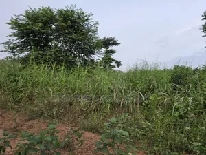 Land at Aboabugya for Sale