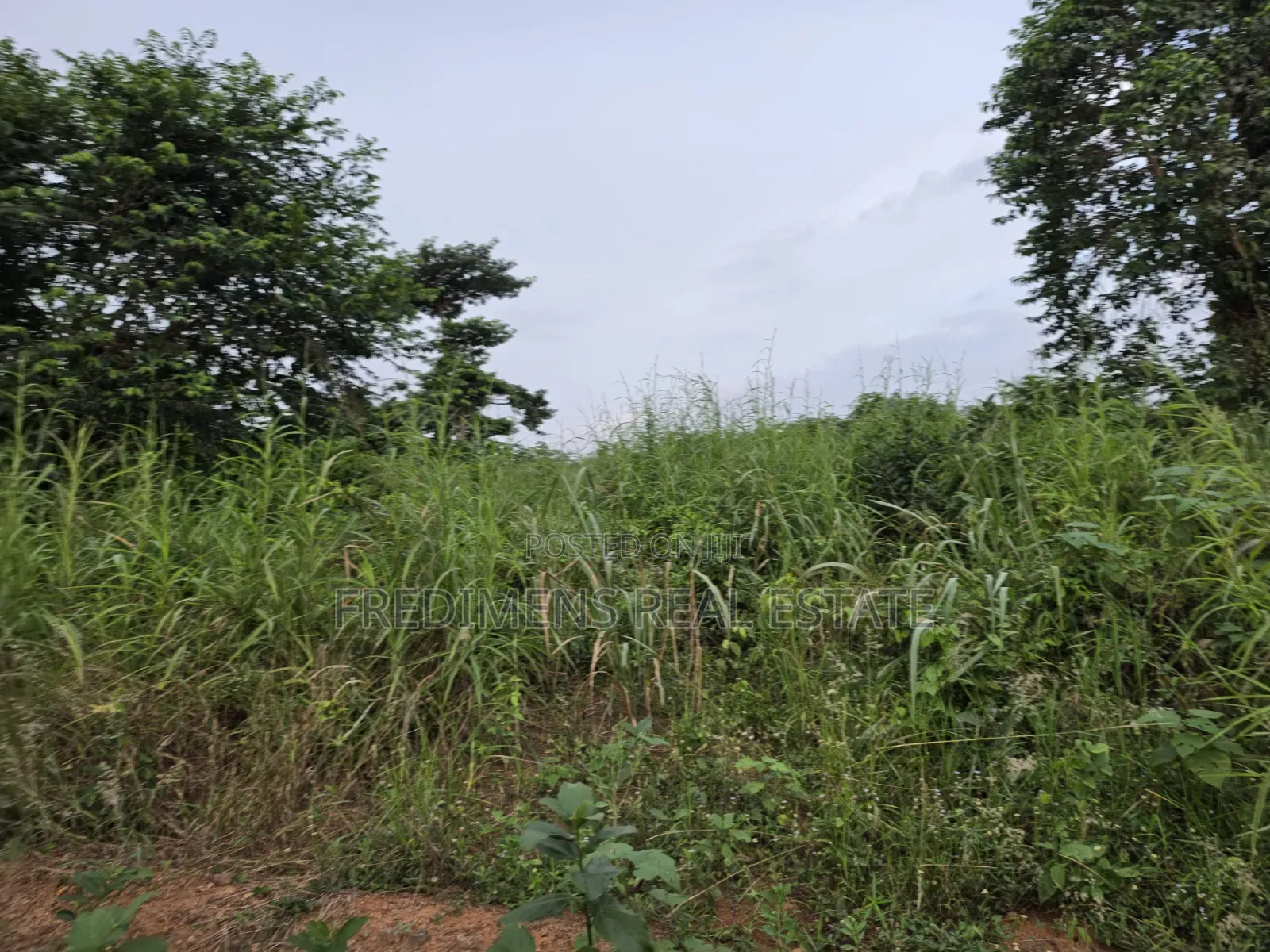 Land at Aboabugya for Sale