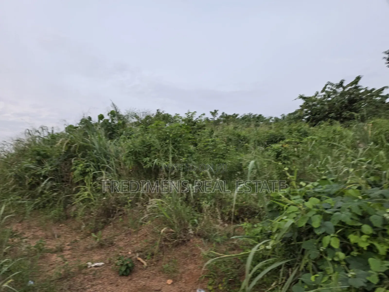 Land at Aboabugya for Sale
