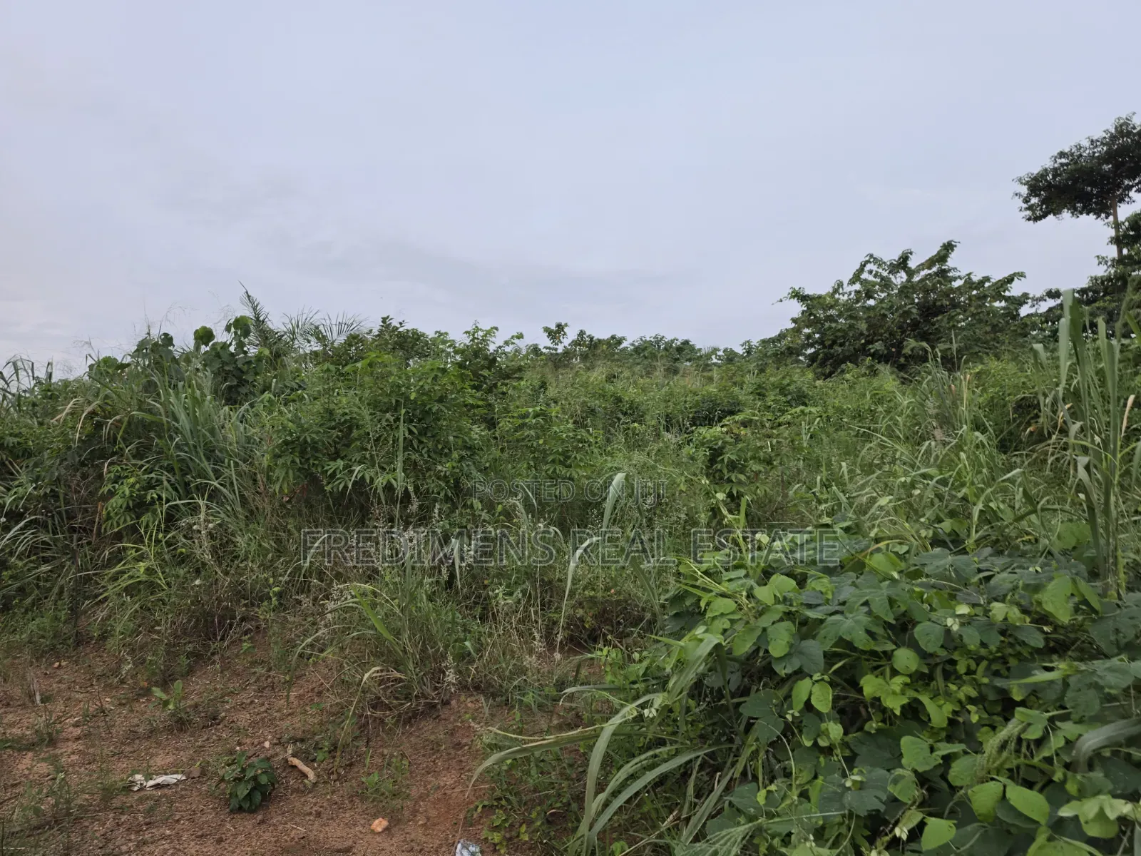 Land at Aboabugya for Sale