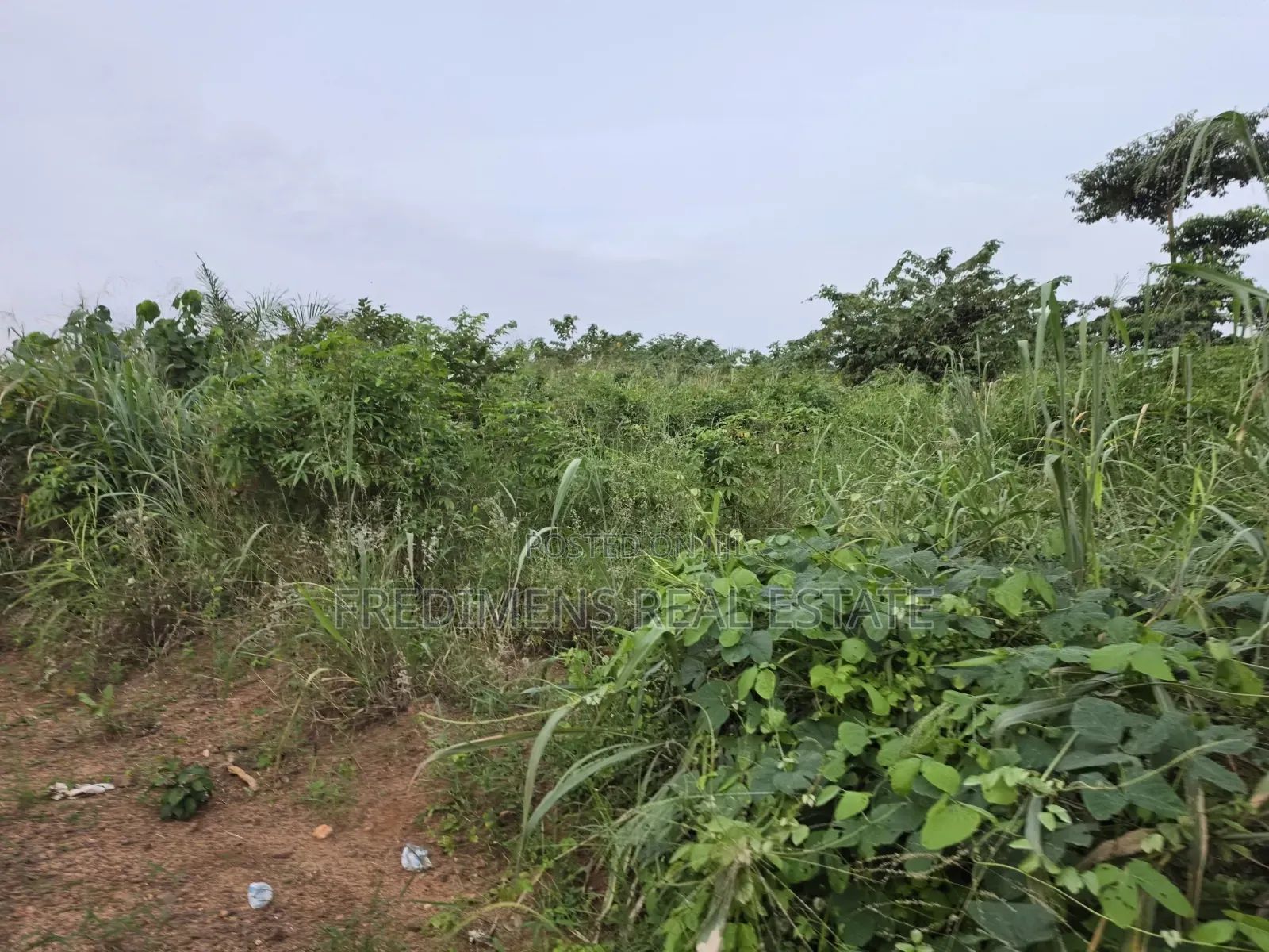 Land at Aboabugya for Sale