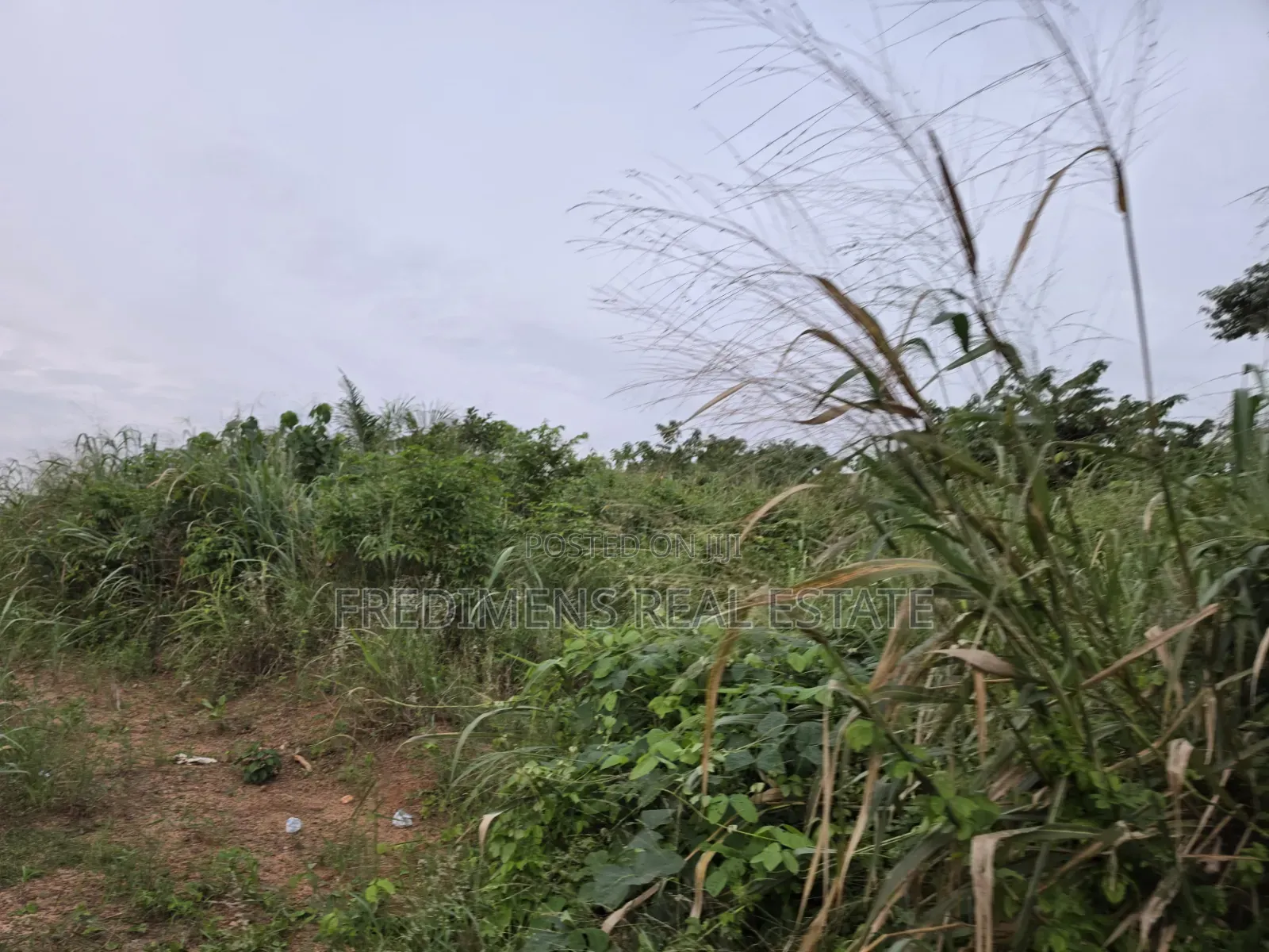 Land at Aboabugya for Sale