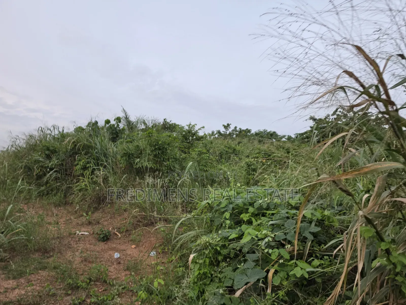Land at Aboabugya for Sale